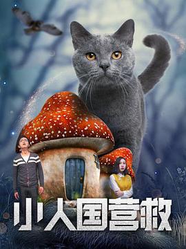 中字一区